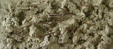 r01.Zgielk_33x73_15o.jpg