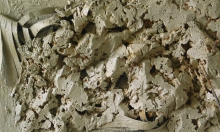 r03.Zgielk_33x55_16o.jpg