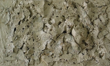 r04.Zgielk_33x55_17o.jpg