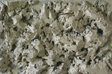 r05.Zgielk_33x50_18o.jpg