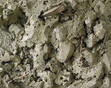 r10.Zgielk_33x41_23o.jpg